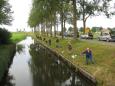Wedstrijd 8 2015