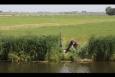 IMG 9241