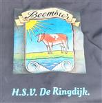 Verslag open kampioenschap H.S.V. De Ringdijk